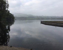 IMG_0884.JPG