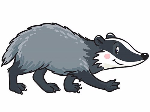 Badger.jpg