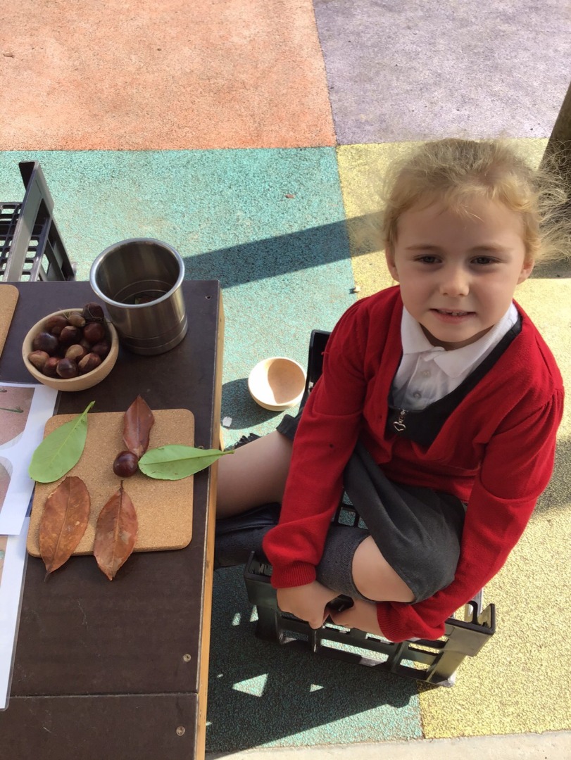 77BD295B-F34E-4B96-A489-ECDA60B7FAEE (002).jpeg