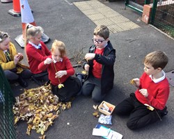 Seesaw_15-10-2020 072734.jpg