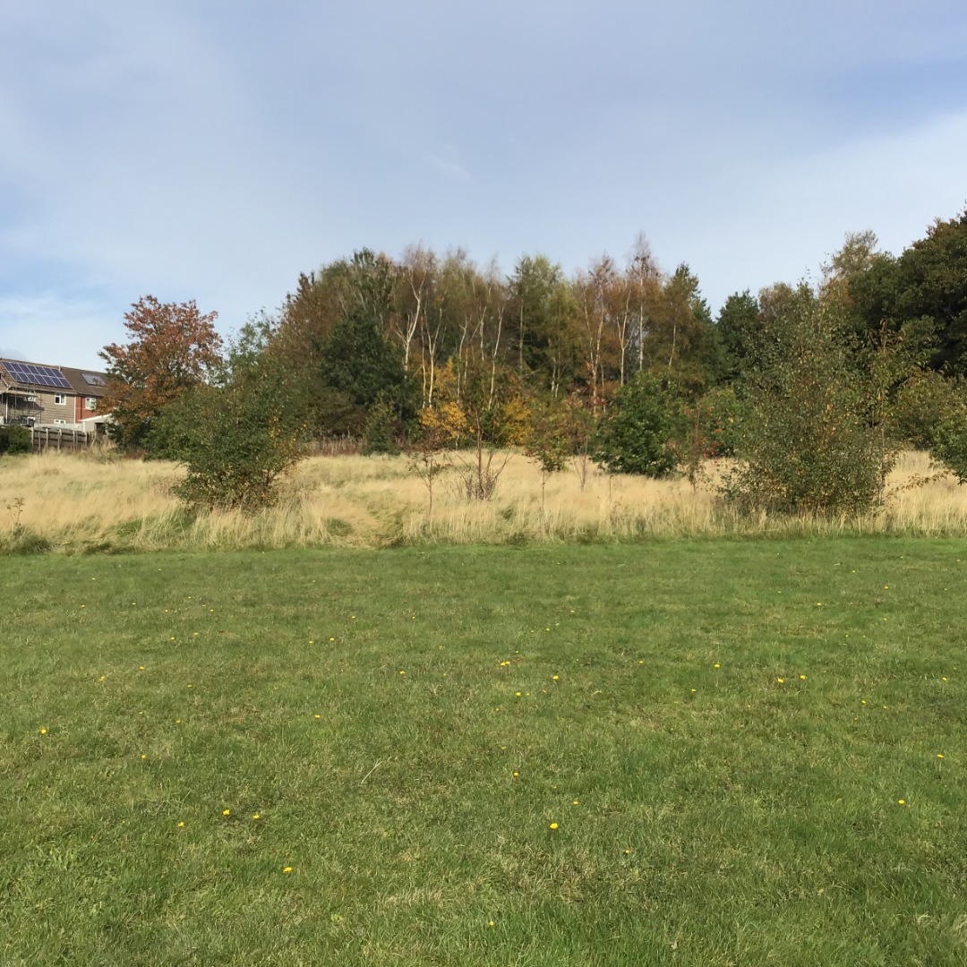 Autumn photos Otters.JPG