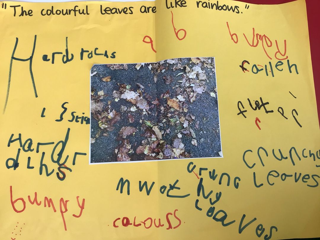 Badgers Autumn photo 1.jpg