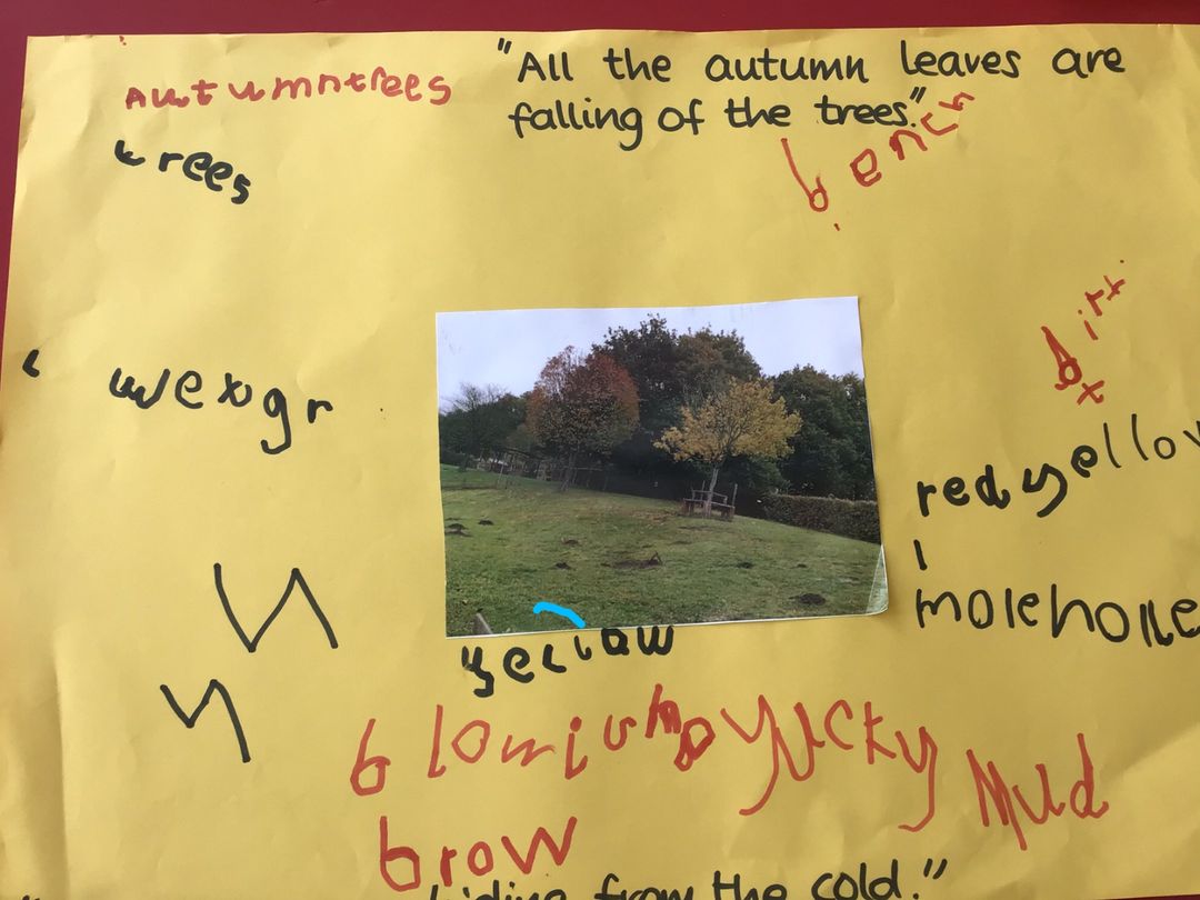 Badgers Autumn photo 2.jpg