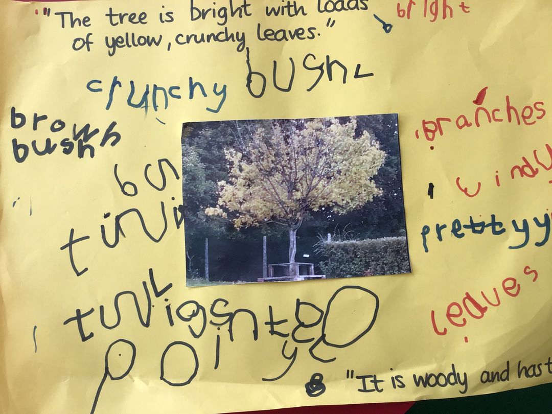 Badgers Autumn photo 3.jpg