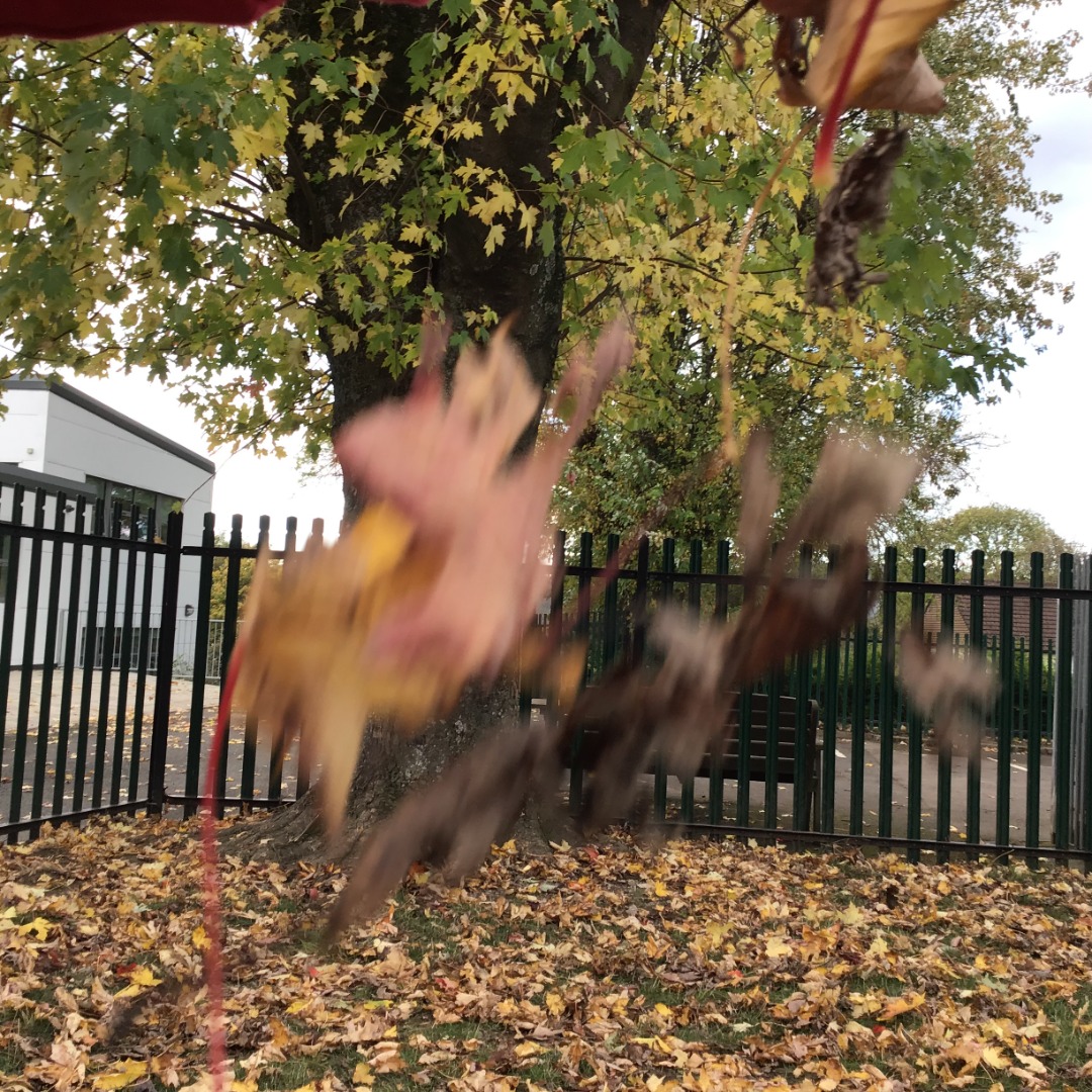 Competition 4 otters.JPG