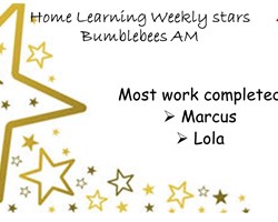 Bumblebee AM Stars.JPG