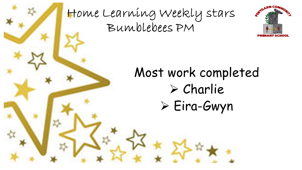 Bumblebee PM Stars.JPG