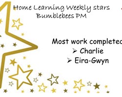 Bumblebee PM Stars.JPG