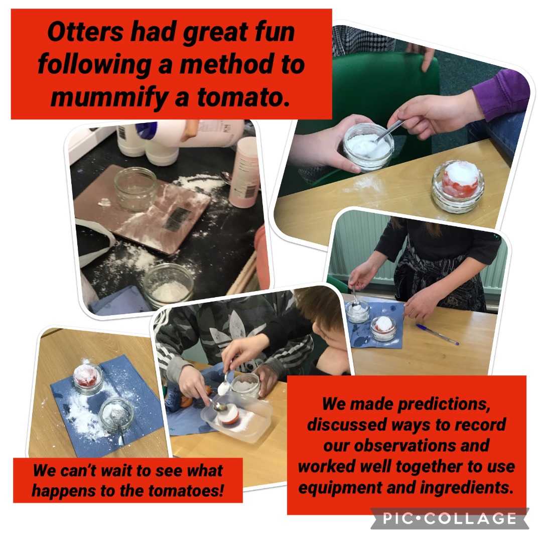 Otters Tomato.jpeg