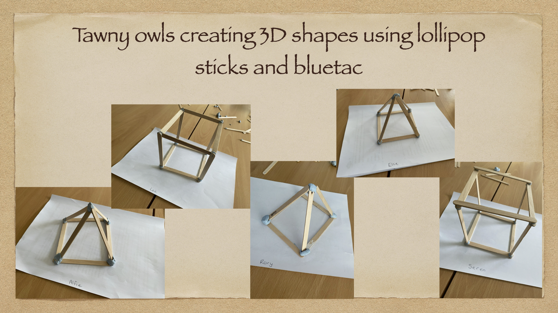 Tawny owls .002.jpeg