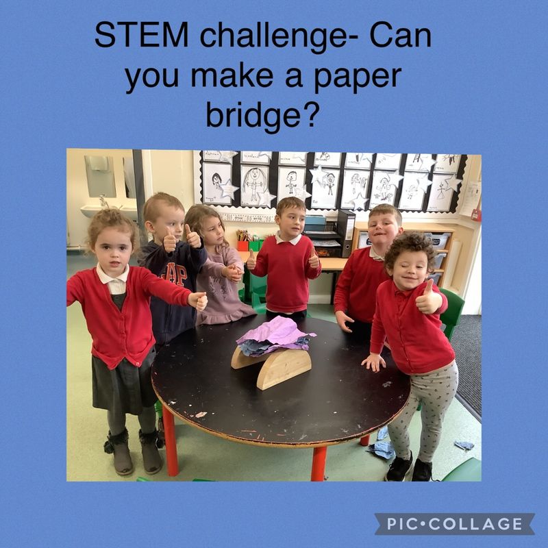 STEM 2.jpg