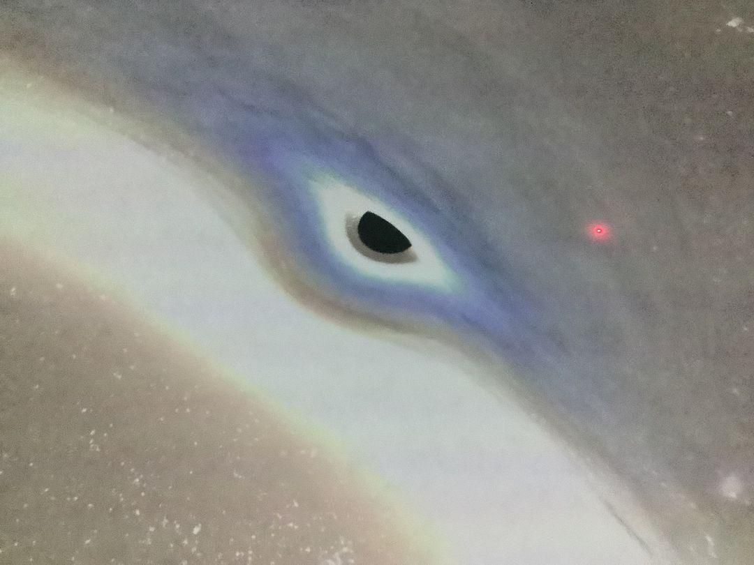 download (6) - Copy - Copy.jpg